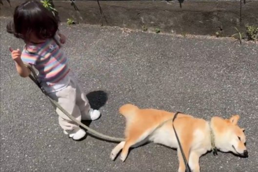 ツンツン