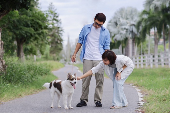 散歩、犬と2人