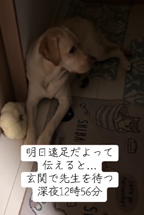 「お迎えはまだかな?」