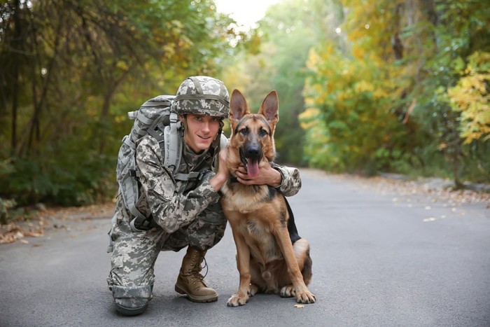 軍用犬と兵士