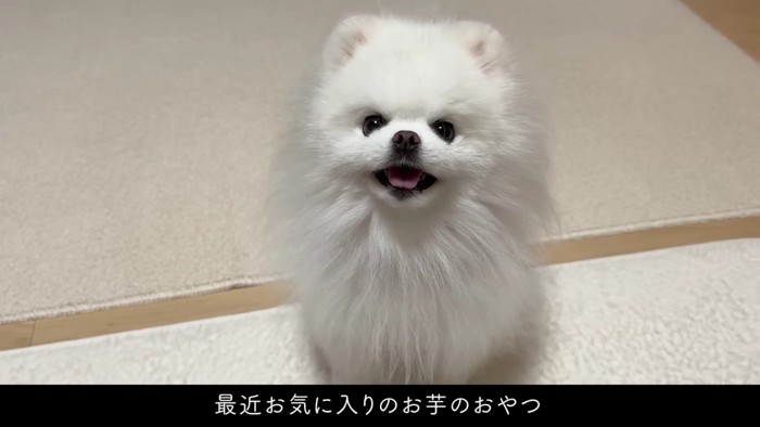 お芋をあげることに