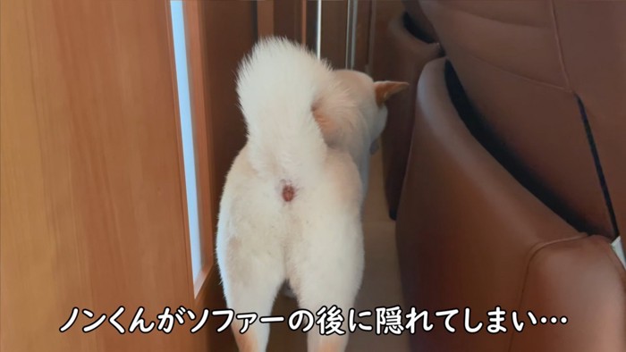 1階に戻ってきたら、様子が変…!