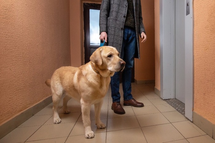 男性と犬