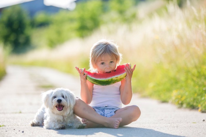 スイカを食べる男の子と隣に座る犬