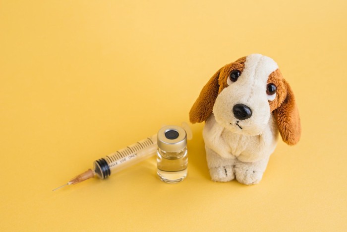 犬のぬいぐるみと注射器