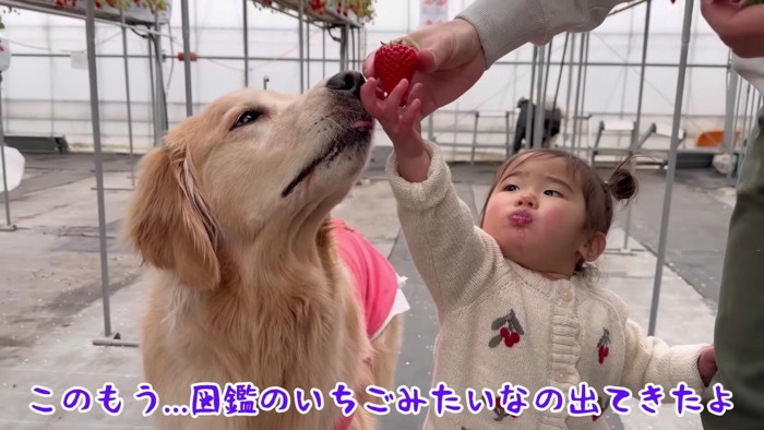 大きくてきれいなかたち！！