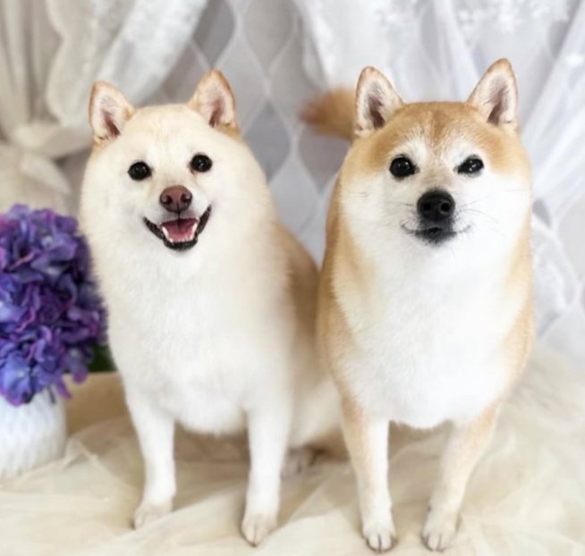 仲良し姉妹