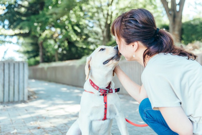 散歩中に褒められる犬