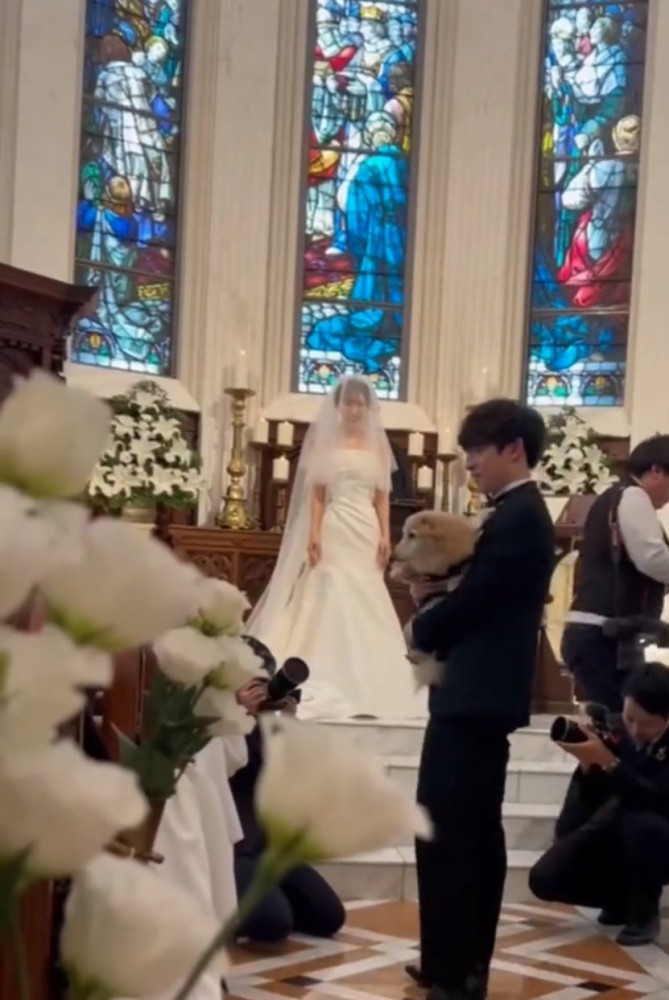 抱っこされる犬2