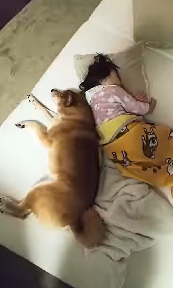 寄り添うロック君