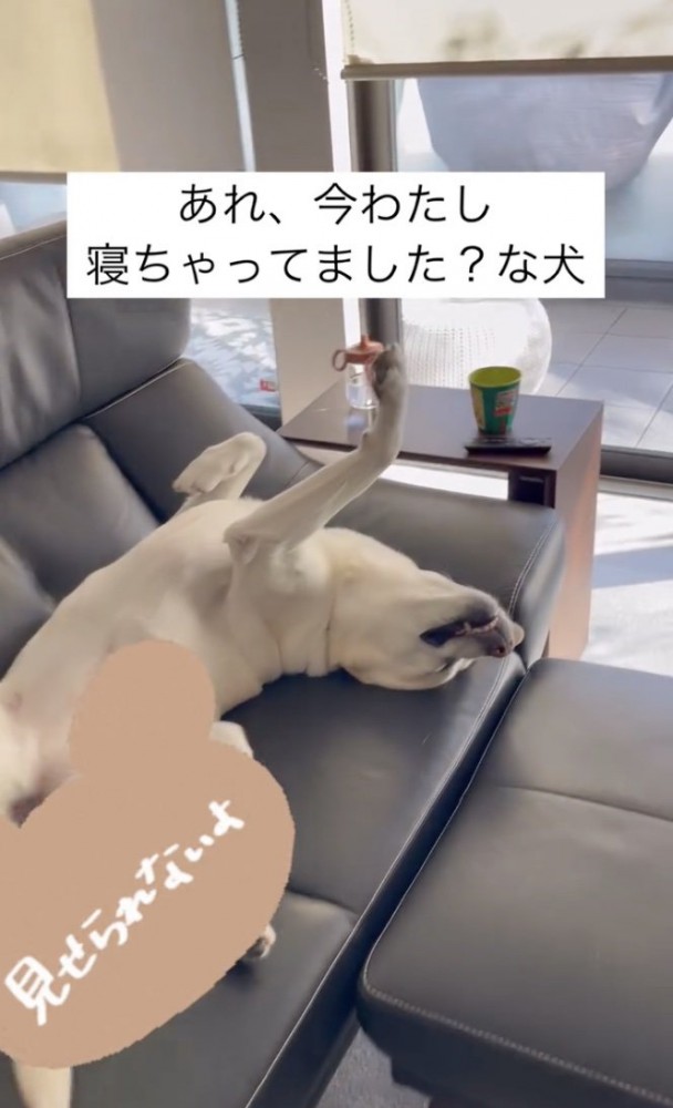 ぴーん
