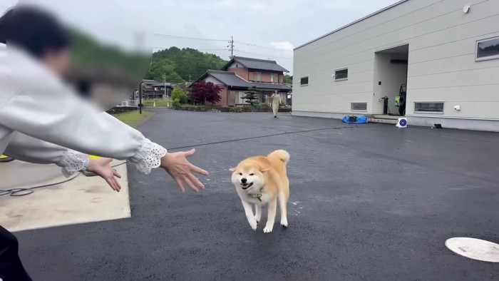 弾けるような笑顔