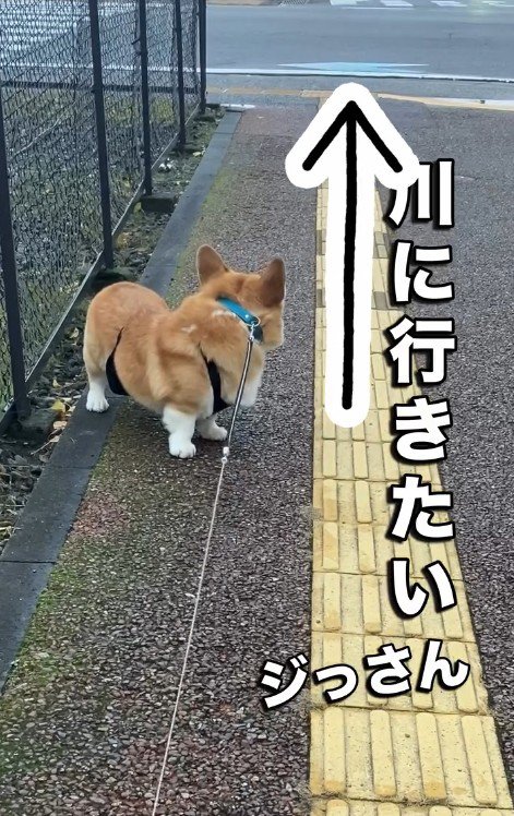 「僕は川に行きたいの！」