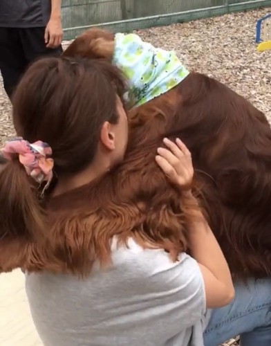 首元に顔をうずめる犬