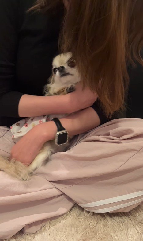 こはくちゃんとお姉ちゃんの再会⑩