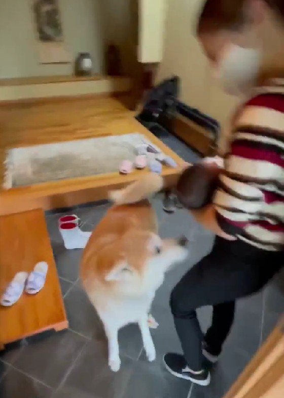 「小さいね！」