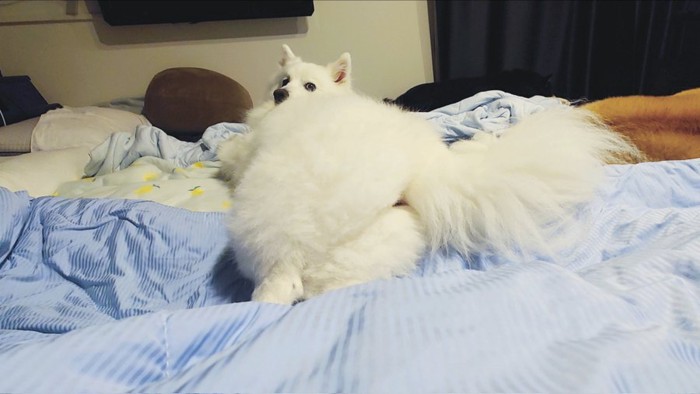 可愛すぎ