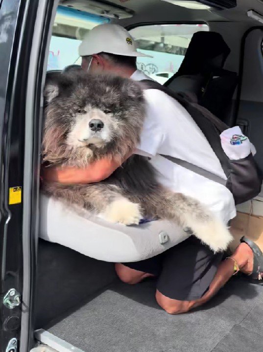助手席で降車拒否!!