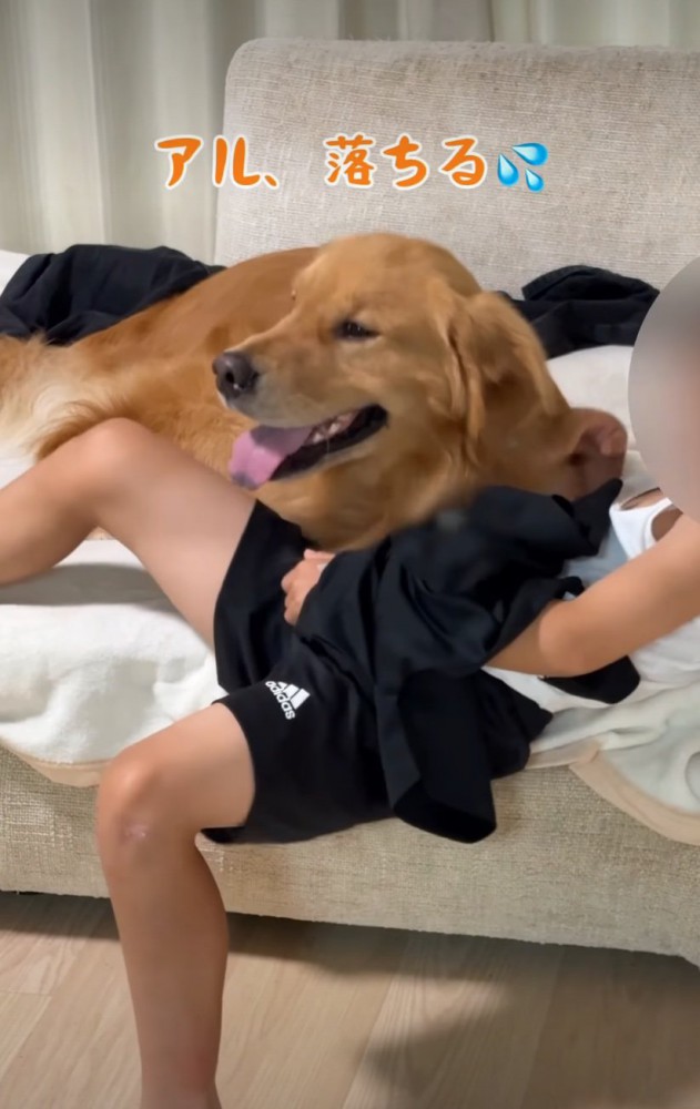 笑顔を見せる犬