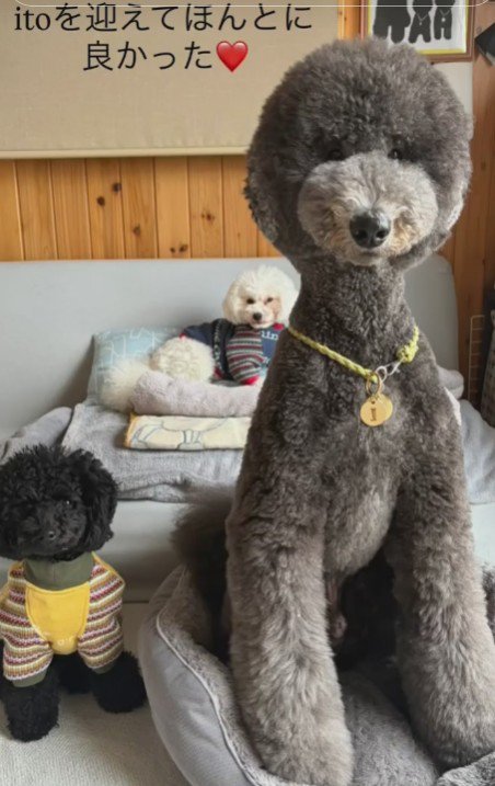 仲良しな3兄弟！！