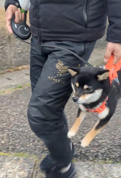 抱えられる犬アップ1