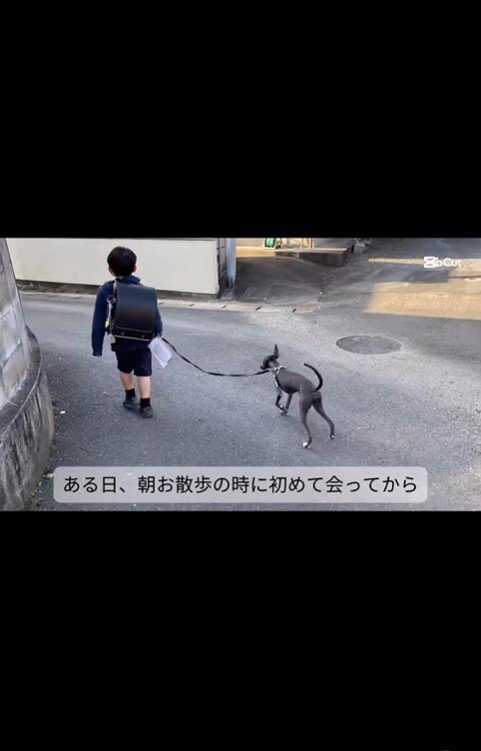 デクくんと男の子の思い出