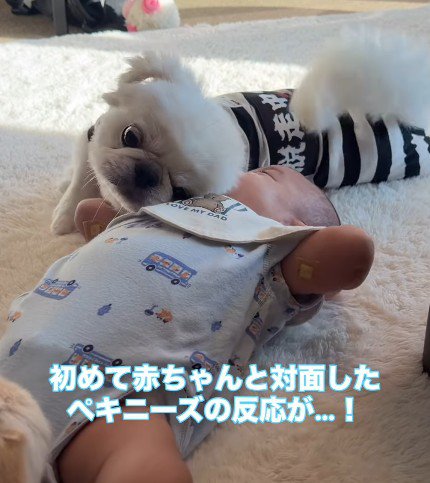 スリスリが止まらない