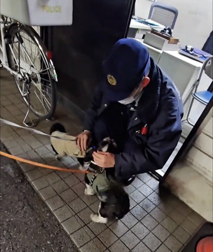 お巡りさんに体を寄せる犬たち