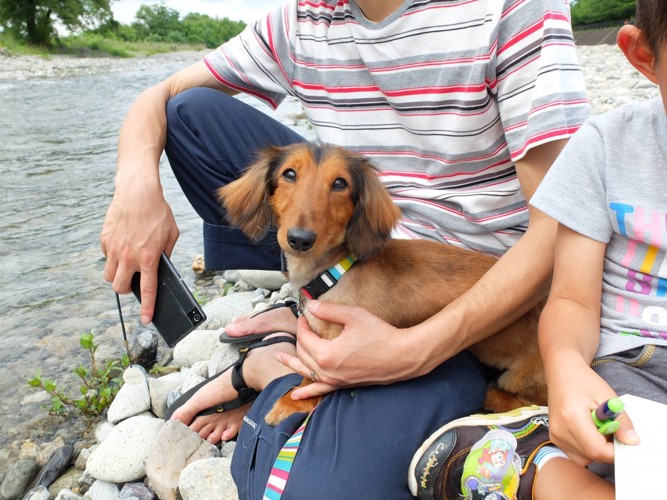 ソファで寛ぐ男性と犬