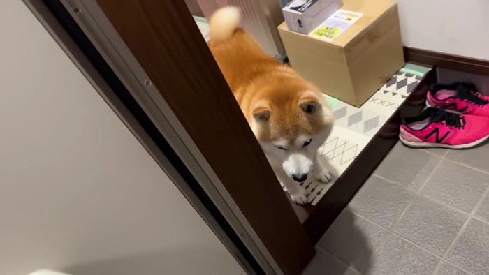 「どこに行ってたの…？」