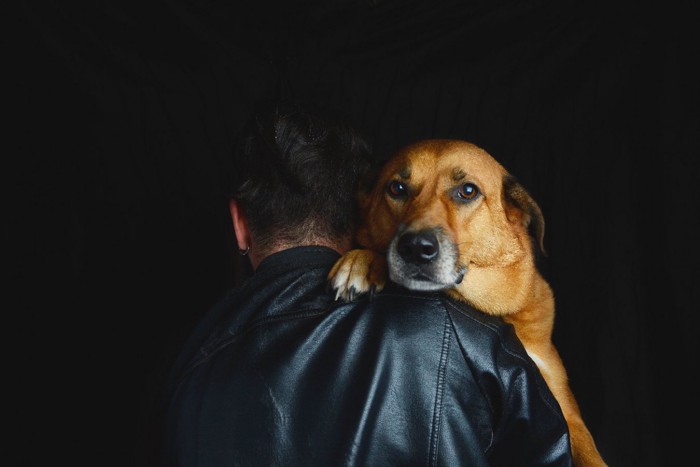 男性に抱っこされる犬