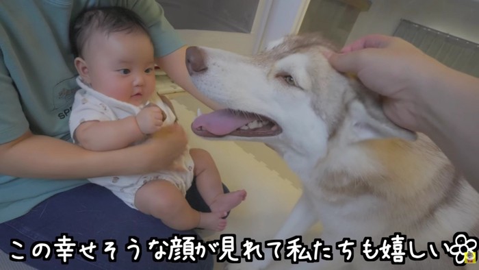 大満足のにこちゃん