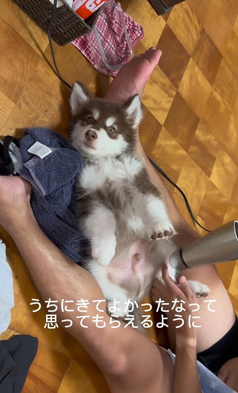 琥珀くんの成長記録8