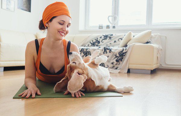 女性と顔を合わせる犬