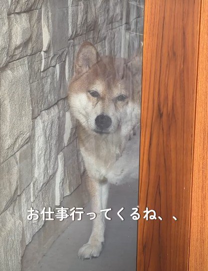 「行かないで」