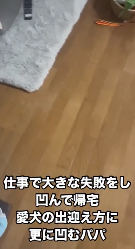 室内の床