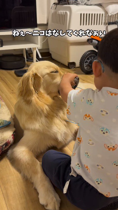 男の子のサングラスを口に咥える犬