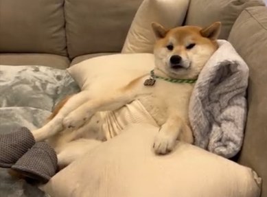 愛おしい