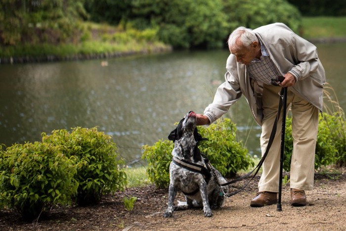 杖を持つ男性と白黒の犬