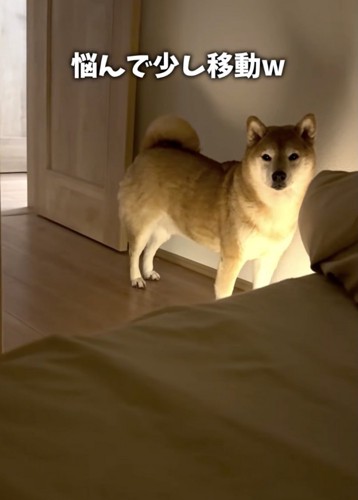 ちょっとだけ近づいてくれました