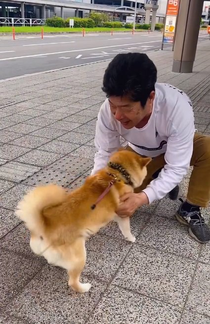 こさめちゃんを引き寄せるパパ