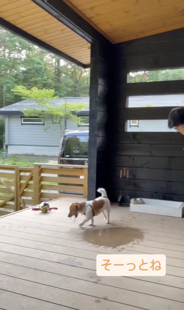 今度こそ…！