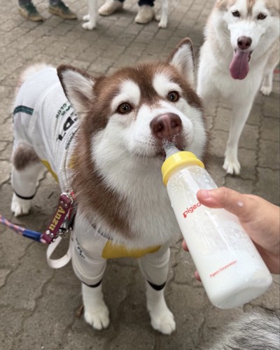哺乳瓶