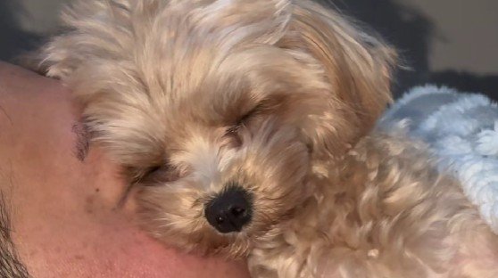 いい夢見れるね…♡