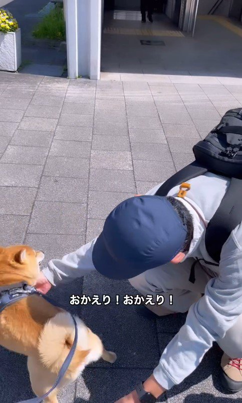 紋次郎くんとお父さんの再会5