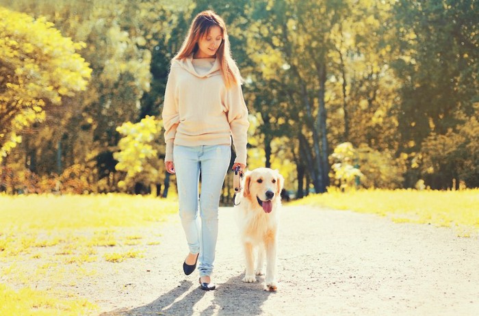 散歩中の飼い主と犬