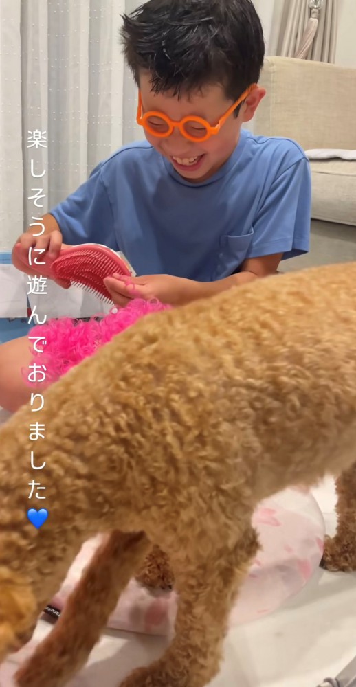 笑う男の子と犬