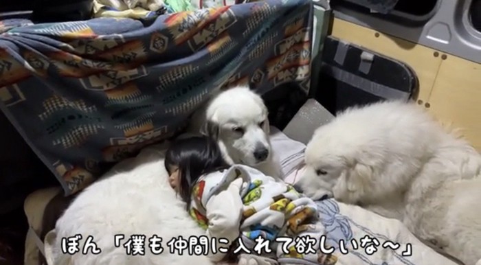 眠る子どもに近づく犬