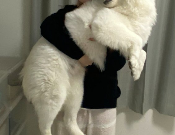 ママ