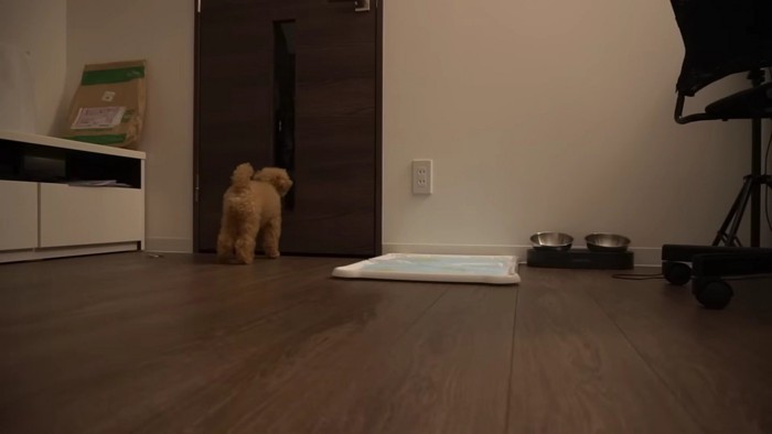 そろそろいいかな？